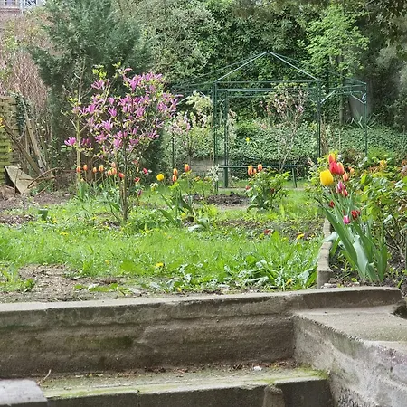 Monteurswohnung, In Apartamento Rostock